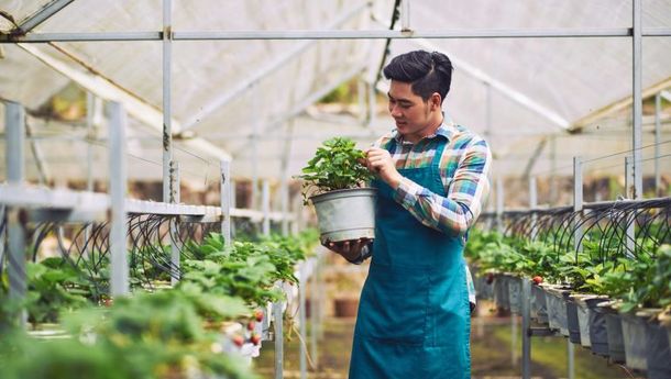 4 Jenis Bisnis Pertanian Kreatif, Prospek bagi Milenial