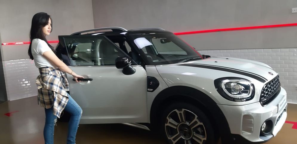 mini.jpg