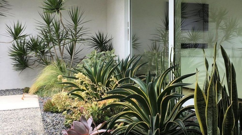 Biaya membuat taman minimalis di rumah