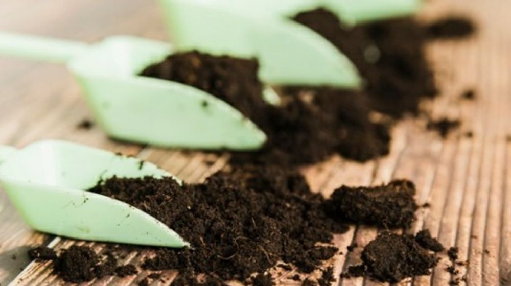 Manfaat pupuk hayati