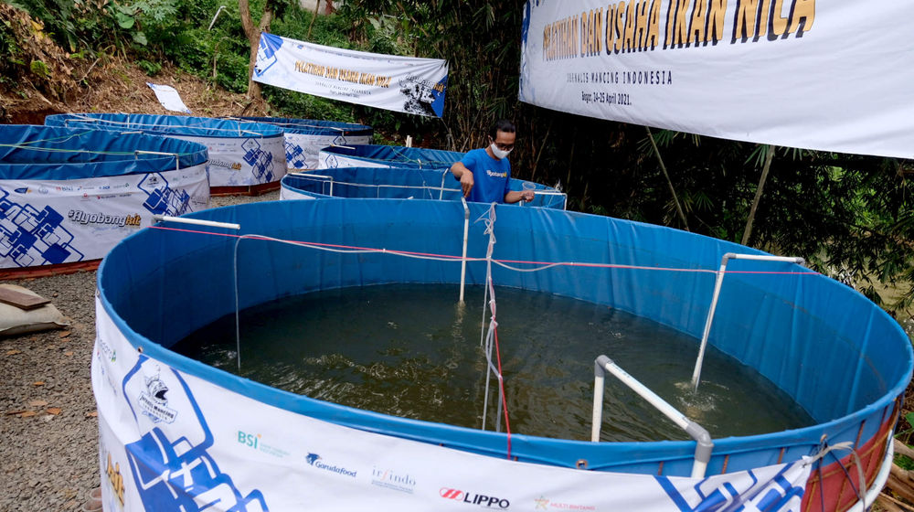 <p>Anggota Jurnalis Mancing Indonesia (JMI) mengecek kolam bioflok dalam acara Pelatihan dan Usaha Ikan Nila, sekaligus Launching program #Ayo Bangkit di Kecamatan Sereal,  Bogor,  Jawa Barat, Minggu, 25 April 2021. Foto: Ismail Pohan/TrenAsia</p>

