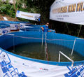 <p>Anggota Jurnalis Mancing Indonesia (JMI) mengecek kolam bioflok dalam acara Pelatihan dan Usaha Ikan Nila, sekaligus Launching program #Ayo Bangkit di Kecamatan Sereal,  Bogor,  Jawa Barat, Minggu, 25 April 2021. Foto: Ismail Pohan/TrenAsia</p>
