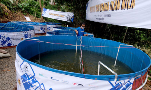 <p>Anggota Jurnalis Mancing Indonesia (JMI) mengecek kolam bioflok dalam acara Pelatihan dan Usaha Ikan Nila, sekaligus Launching program #Ayo Bangkit di Kecamatan Sereal,  Bogor,  Jawa Barat, Minggu, 25 April 2021. Foto: Ismail Pohan/TrenAsia</p>
