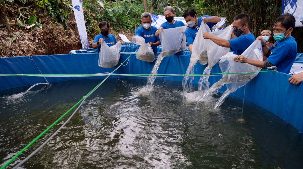 <p>Wakil Wali Kota Bogor, Dedie A Rachim (ketiga kiri) didampingi Penasehat Jurnalis Mancing Indonesia (JMI), Pratama D Persadha (ketiga kanan), Ketua Umum JMI, Firman Wibowo (kedua kiri), Penasehat JMI, Saptono Soemardjo (kanan), dan Hendra Suhara (kedua kanan) menabur benih ikan nila ke dalam kolam bioflok pada acara Pelatihan dan Usaha Ikan Nila, sekaligus Launching program #Ayo Bangkit di Kecamatan Sereal,  Bogor,  Jawa Barat, Minggu, 25 April 2021. Foto: Ismail Pohan/TrenAsia</p>
