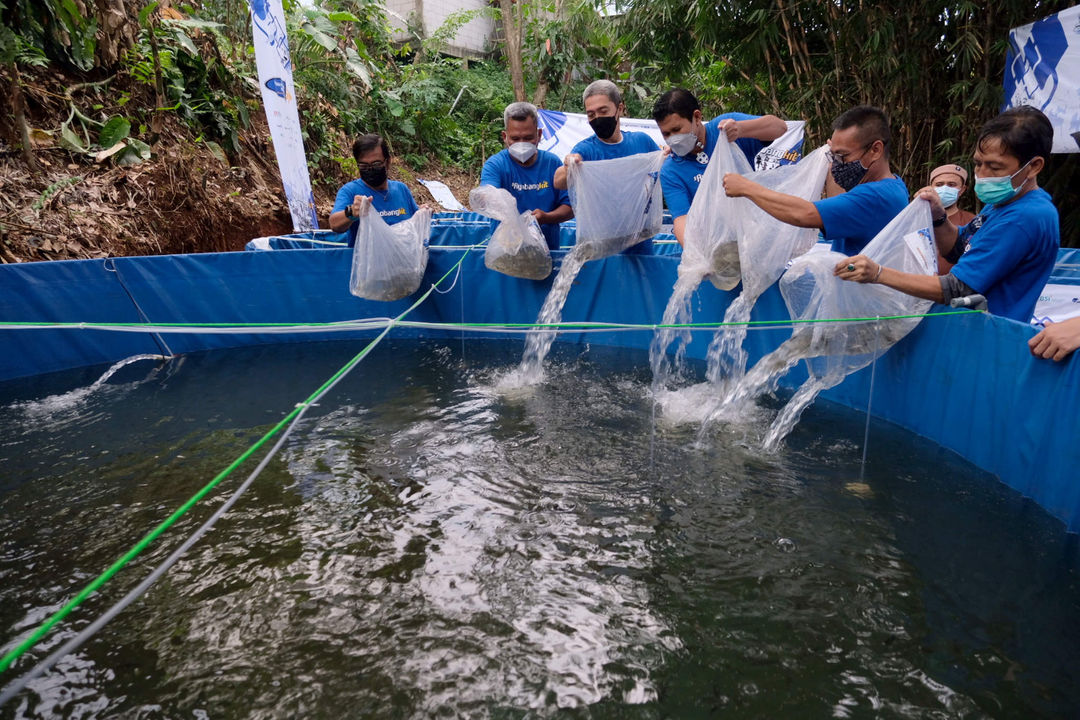 <p>Wakil Wali Kota Bogor, Dedie A Rachim (ketiga kiri) didampingi Penasehat Jurnalis Mancing Indonesia (JMI), Pratama D Persadha (ketiga kanan), Ketua Umum JMI, Firman Wibowo (kedua kiri), Penasehat JMI, Saptono Soemardjo (kanan), dan Hendra Suhara (kedua kanan) menabur benih ikan nila ke dalam kolam bioflok pada acara Pelatihan dan Usaha Ikan Nila, sekaligus Launching program #Ayo Bangkit di Kecamatan Sereal,  Bogor,  Jawa Barat, Minggu, 25 April 2021. Foto: Ismail Pohan/TrenAsia</p>
