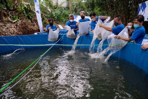 <p>Wakil Wali Kota Bogor, Dedie A Rachim (ketiga kiri) didampingi Penasehat Jurnalis Mancing Indonesia (JMI), Pratama D Persadha (ketiga kanan), Ketua Umum JMI, Firman Wibowo (kedua kiri), Penasehat JMI, Saptono Soemardjo (kanan), dan Hendra Suhara (kedua kanan) menabur benih ikan nila ke dalam kolam bioflok pada acara Pelatihan dan Usaha Ikan Nila, sekaligus Launching program #Ayo Bangkit di Kecamatan Sereal, Bogor, Jawa Barat, Minggu, 25 April 2021. Foto: Ismail Pohan/TrenAsia</p>