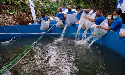 <p>Wakil Wali Kota Bogor, Dedie A Rachim (ketiga kiri) didampingi Penasehat Jurnalis Mancing Indonesia (JMI), Pratama D Persadha (ketiga kanan), Ketua Umum JMI, Firman Wibowo (kedua kiri), Penasehat JMI, Saptono Soemardjo (kanan), dan Hendra Suhara (kedua kanan) menabur benih ikan nila ke dalam kolam bioflok pada acara Pelatihan dan Usaha Ikan Nila, sekaligus Launching program #Ayo Bangkit di Kecamatan Sereal, Bogor, Jawa Barat, Minggu, 25 April 2021. Foto: Ismail Pohan/TrenAsia</p>