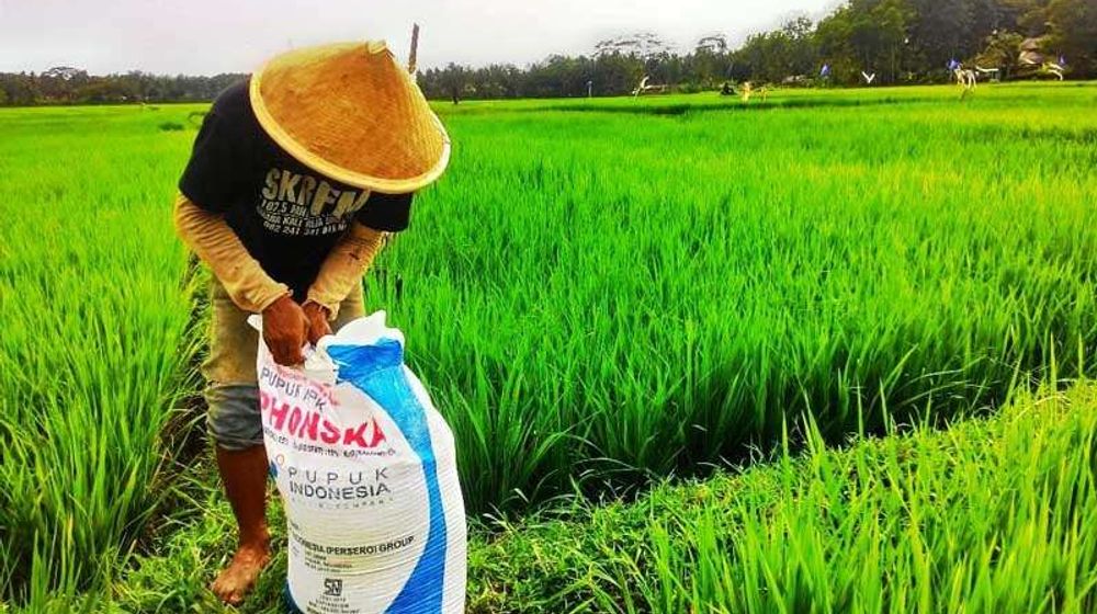 Kenalan dengan Pupuk Phonska yang Kaya Manfaat YukDok. Humas Kementerian Pertanian RI