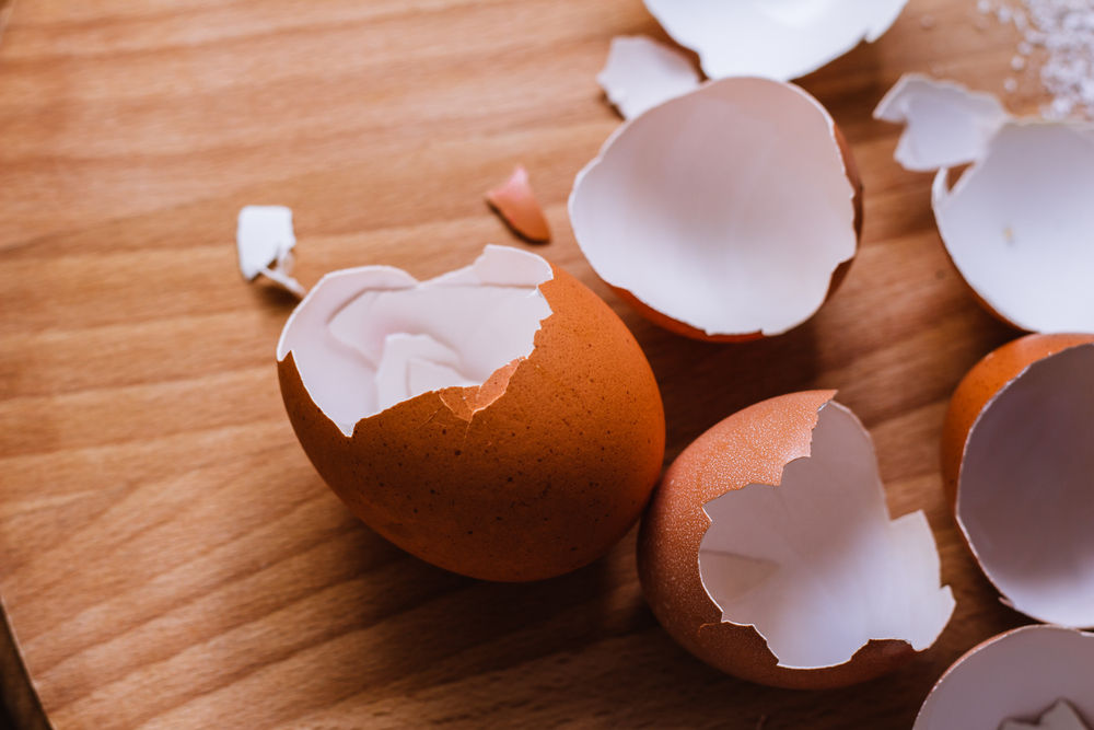 <p>Manfaat Cangkang Telur Sebagai Pupuk Tanaman</p>
