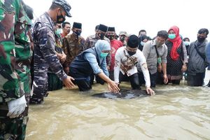 <p>Gubernur Jatim Kofifah Indar Parawansa dan Bupati Bangkalan R Abdul Latif Amin Imron saat melepas paus yang terdampar di pesisir pantai Bangkalan / Dok. Pemkab Bangkalan</p>
