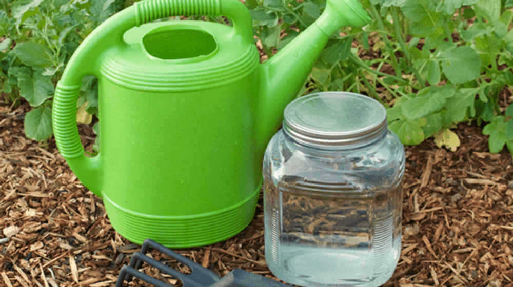 Pentingnya Mengenal Amonia sebagai Bahan Baku Pembuatan Pupuk