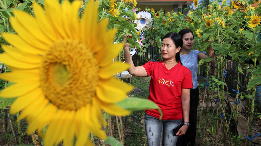 <p>Pengunjung tengah berswafoto maupun sekedar menikmati pemandangan wisata kebun bunga matahari di kawasan Sepatan Kabupaten Tangerang , Minggu 4 April 2021. Foto : Panji Asmoro/TrenAsia</p>
