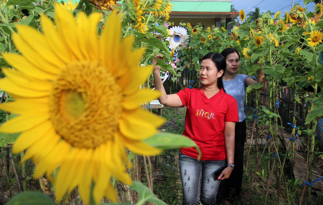 <p>Pengunjung tengah berswafoto maupun sekedar menikmati pemandangan wisata kebun bunga matahari di kawasan Sepatan Kabupaten Tangerang , Minggu 4 April 2021. Foto : Panji Asmoro/TrenAsia</p>
