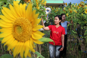 <p>Pengunjung tengah berswafoto maupun sekedar menikmati pemandangan wisata kebun bunga matahari di kawasan Sepatan Kabupaten Tangerang , Minggu 4 April 2021. Foto : Panji Asmoro/TrenAsia</p>
