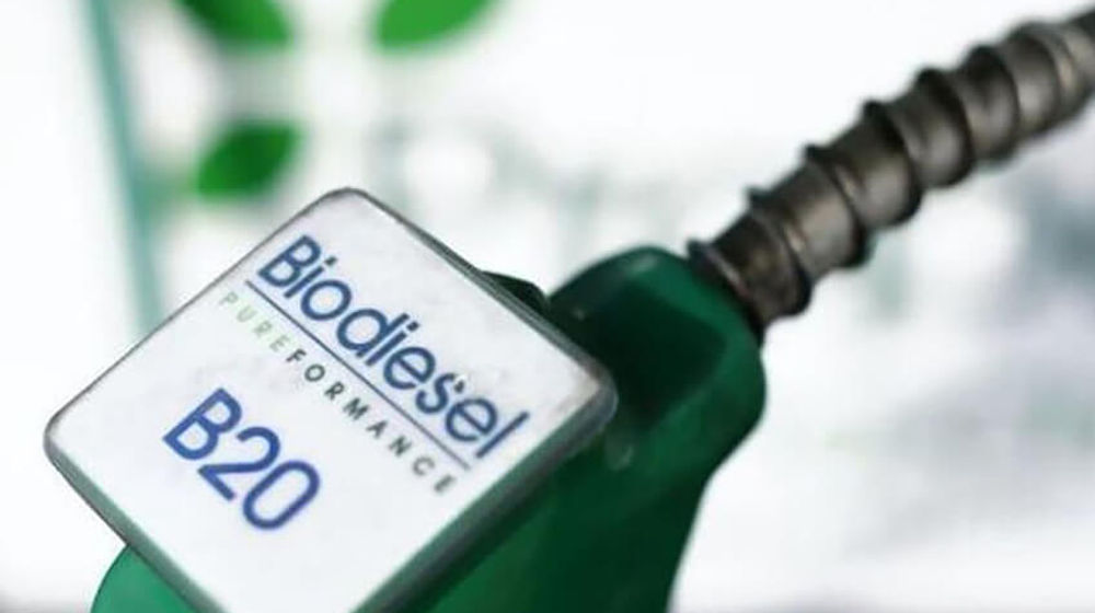 Ilustrasi/Indonesia.go.id