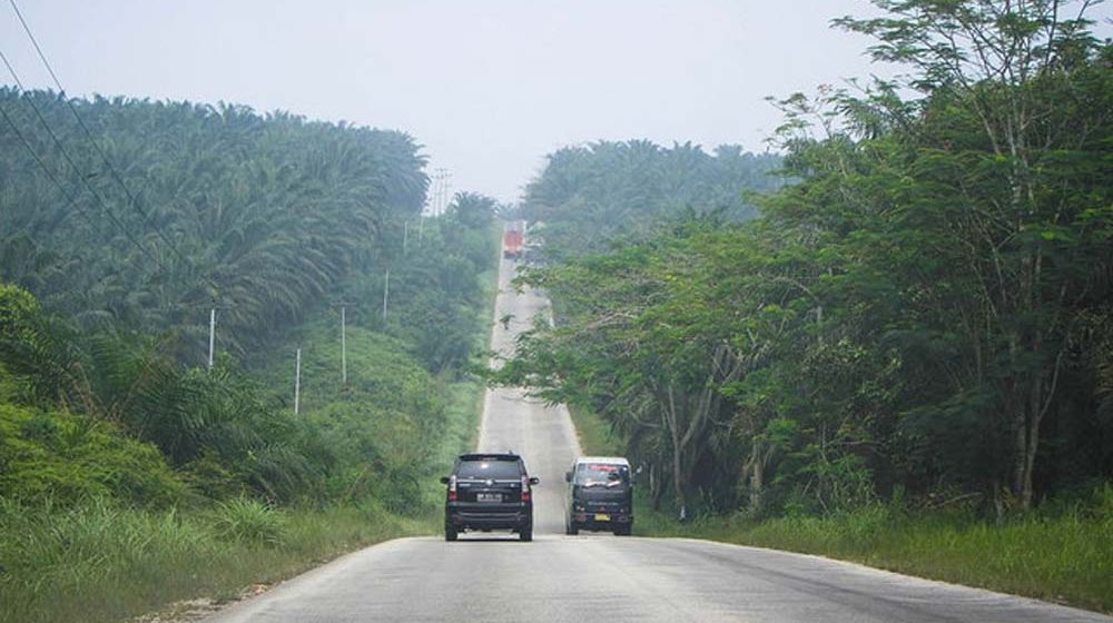 <p>Jalintim Riau/RiauSky.com</p>
