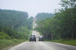 <p>Jalintim Riau/RiauSky.com</p>