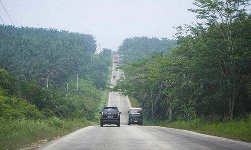 <p>Jalintim Riau/RiauSky.com</p>
