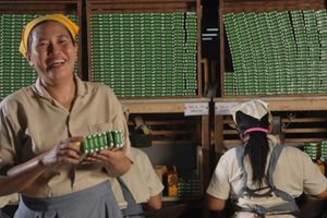 <p>Produksi Wismilak/Wismilak Inti Makmur</p>