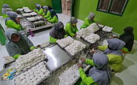 UMKM-Cireng-Krispi-Panji-1.jpg