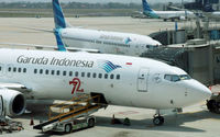 Garuda_Indonesia.jpg