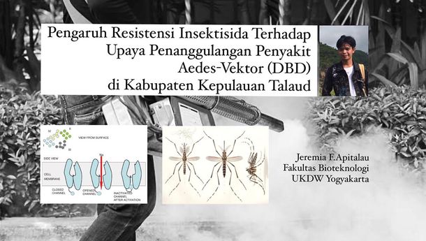  Pengaruh Resistensi Insektisida Terhadap Upaya Penanggulangan Penyakit aedes-vektor  (DBD) di Kabupaten Kepulauan Talaud