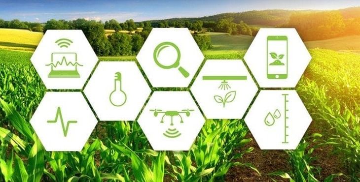 <p>Smart Farming: Solusi Tepat Bertani Sukses di Masa Kini. Foto: apacbusinessheadlines.com</p>
