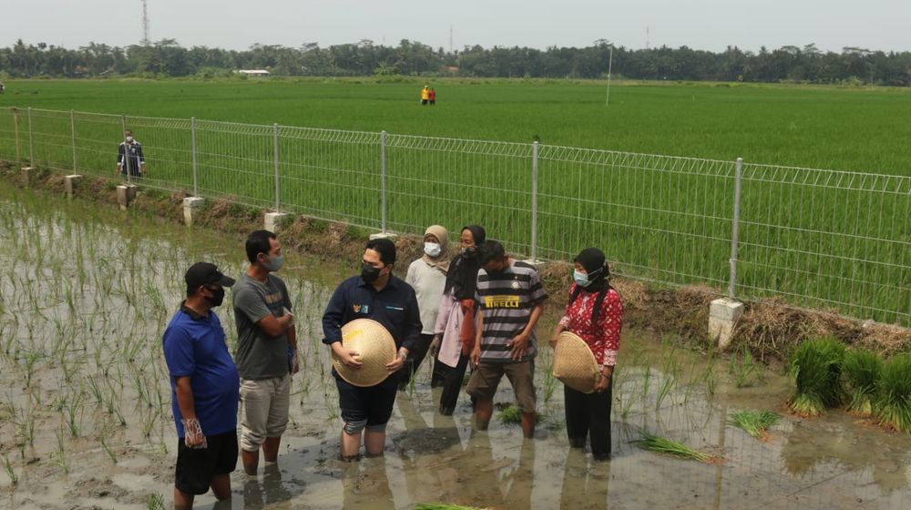 <p>Menteri BUMN Erick Thohir saat meninjau SPBT Desa Kaliputih, Kutowinangun, Kebumen, Jawa Tengah. Dok/Kementerian BUMN</p>
