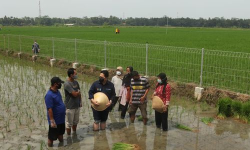 <p>Menteri BUMN Erick Thohir saat meninjau SPBT Desa Kaliputih, Kutowinangun, Kebumen, Jawa Tengah. Dok/Kementerian BUMN</p>
