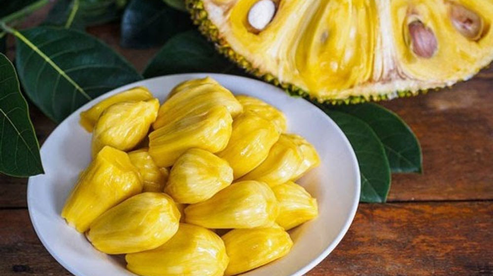 cara menanam buah nangka