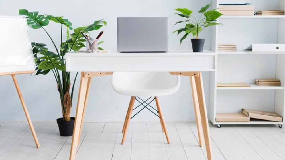 Rekomendasi tanaman hias untuk dekorasi kantor