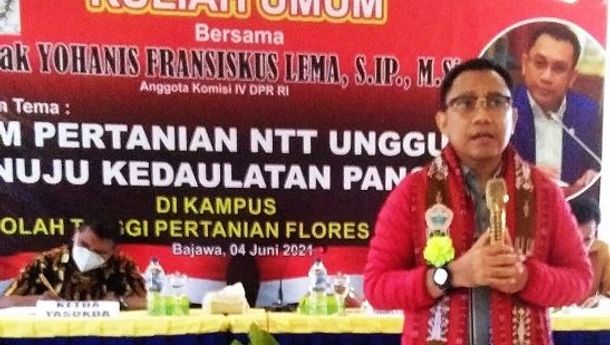 Anggota DPR-RI Ansy Lema Beri Kuliah Umum di Stiper Bajawa Flores