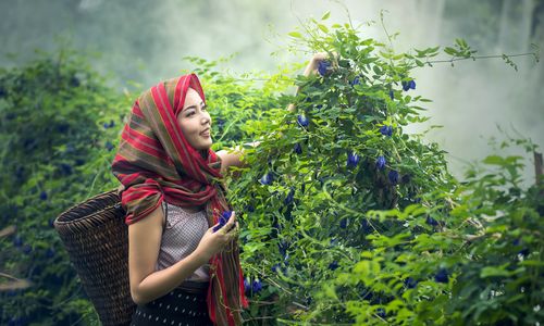 agriculture-1807549_1920.jpg