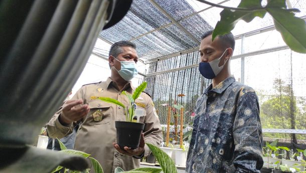 Karantina Pertanian Lampung Bimbing Pengusaha Tanaman Hias Tembus Pasar Internasional