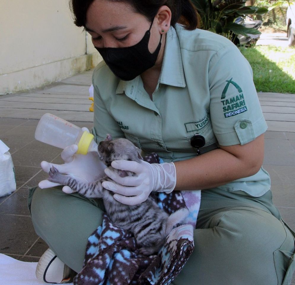 taman safari bali 2.jpg