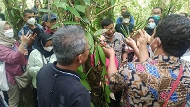 Tim dari Kementerian Desa dan Perdagangan serta Penguasaha Nasional Tinjau Kebun Vanili di Jerebuu 