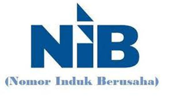 Bingung Mau Bikin NIB? Tapi Harus Karena Syarat Mendapatkan Insentif UMKM, Berikut Caranya