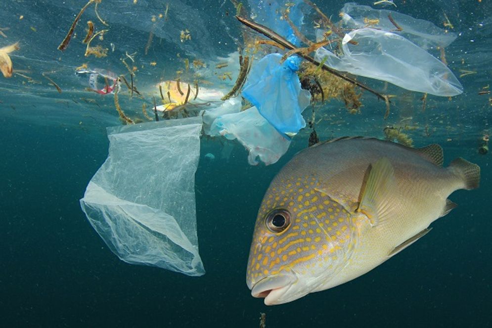 sampah plastik.jpg