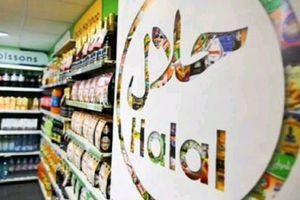 produk halal.jpeg