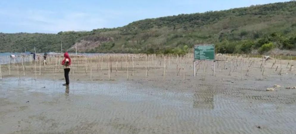 pantai nanga lirang desa padut.JPG