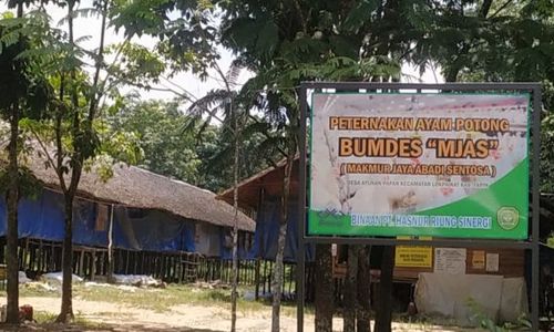 bumdes-maju-1-560x420.jpeg
