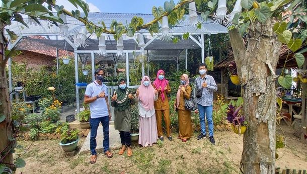 Sejak COVID-19, Berkebun di Pekarangan Rumah Jadi Solusi Pangan Loh