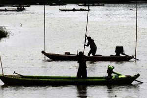 <p>Nampak sejumlah rakit tengah mencari cacing sutra di kawasan Sungai Cisadane Tangerang. Cacing sutra ini dijual kembali sebagai pakan ikan hias. Foto : Panji Asmoro/TrenAsia</p>
