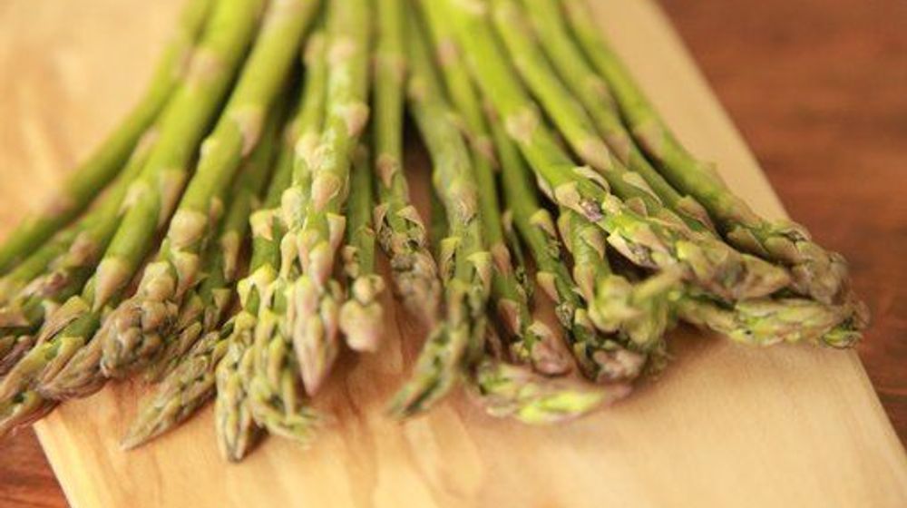 cara-menanam-asparagus-di rumah