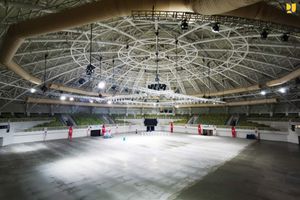 Istora Papua Bangkit