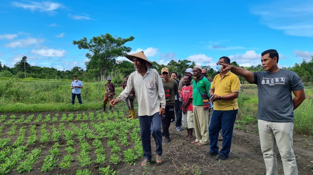 Mengenal Agroindustri dan Upaya Pemerintah Mengoptimalkan Hasil Pertanian Indonesia