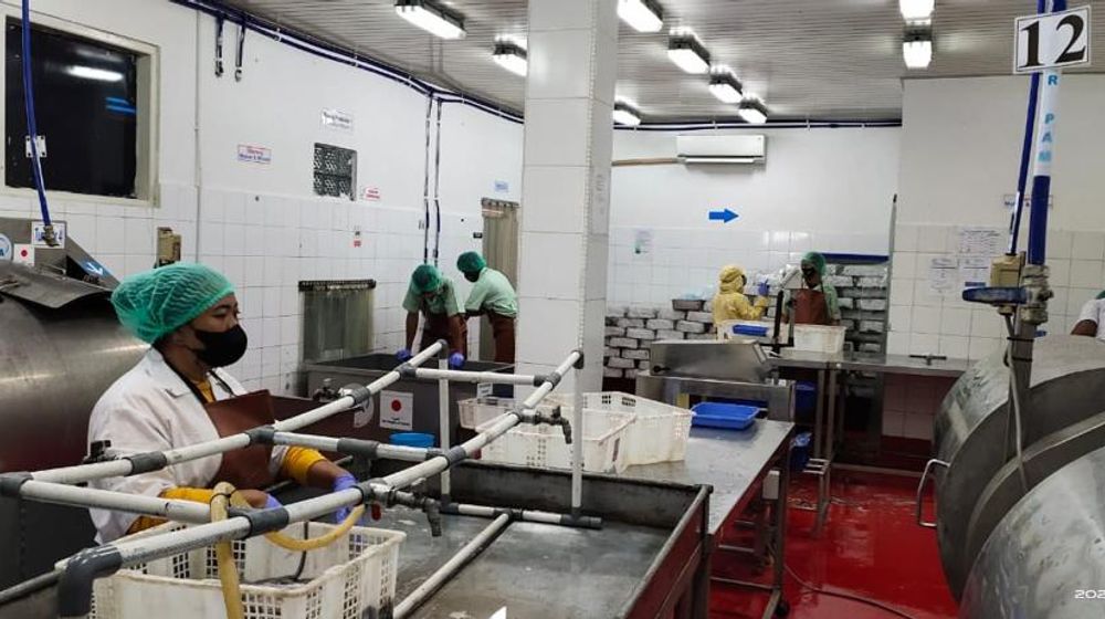 <p>BUMN Perikanan Nusantara (Perinus) melakukan ekspor gurita ke Jepang senilai Rp1,02 miliar /Dok Kementerian BUMN</p>
