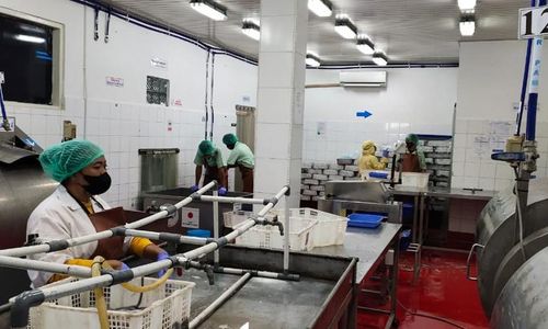 <p>BUMN Perikanan Nusantara (Perinus) melakukan ekspor gurita ke Jepang senilai Rp1,02 miliar /Dok Kementerian BUMN</p>
