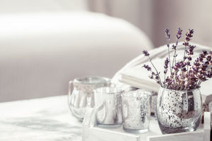 Pilihan tanaman yang dapat mengusir nyamuk di dalam rumah