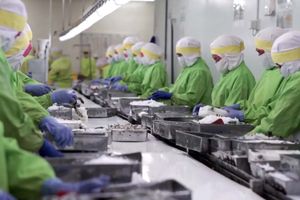 <p>Proses produksi di PT Panca Mitra Multiperdana Tbk /Foto: Tangkapan layar YouTube PT Panca Mitra Multiperdana Tbk</p>
